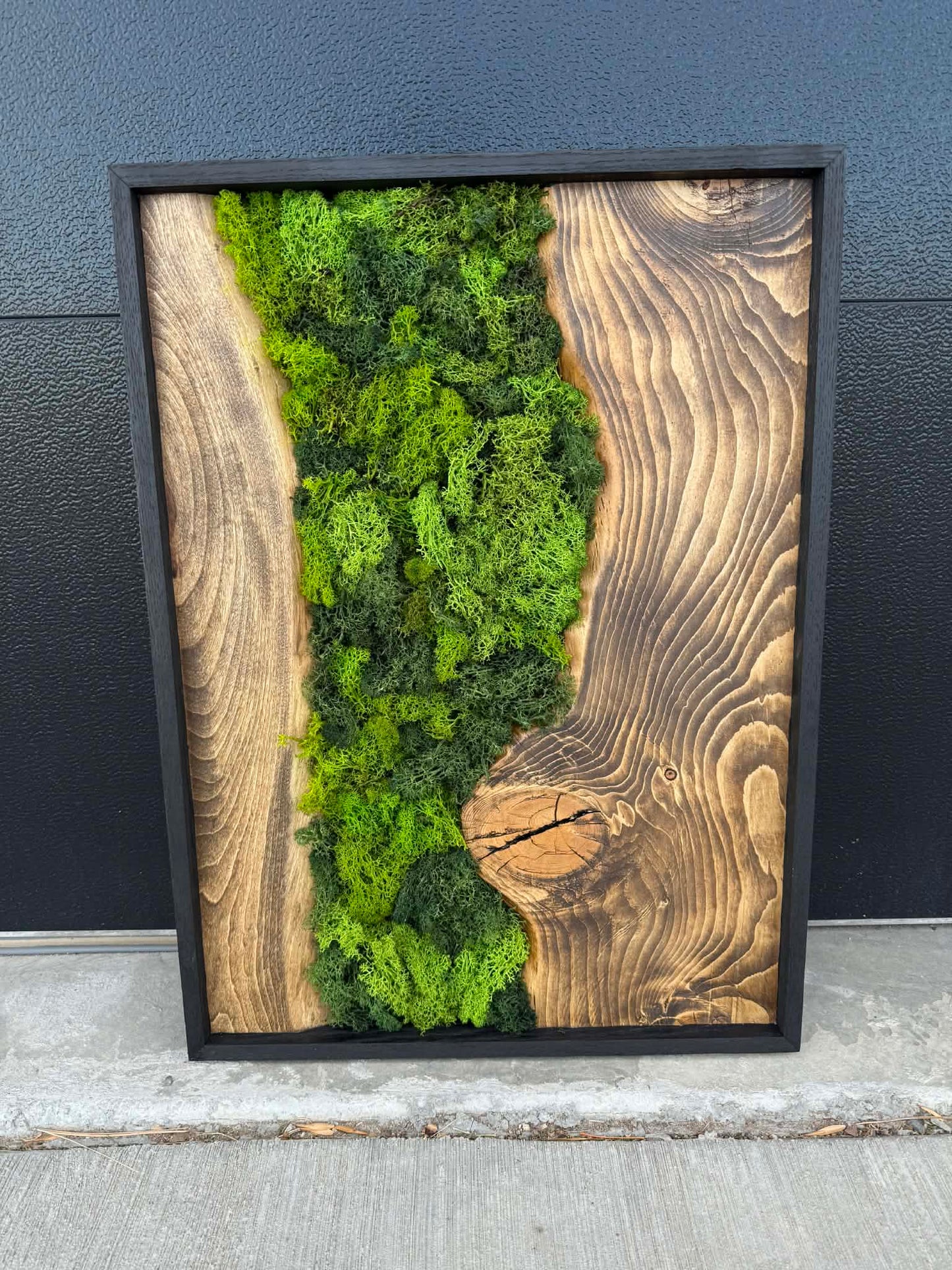 Live Edge River Moss